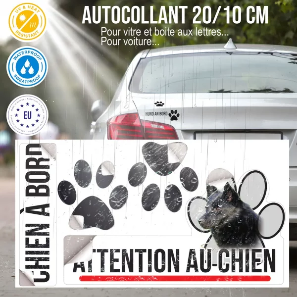 Plaque chien de garde Profil d'un Schipperke noir sur fond flou