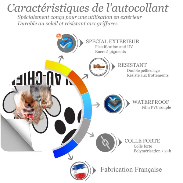 Chien a bord Deux Yorkshire Terriers avec des accessoires mignons