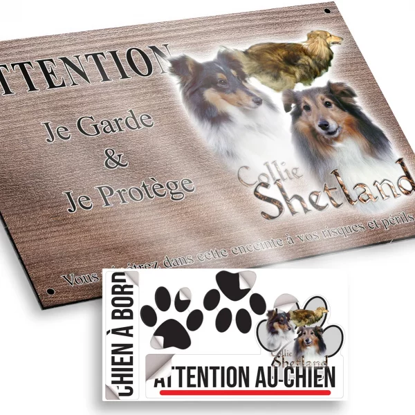 Plaque attention au chien Trois Collies Shetland sur fond transparent avec texte.