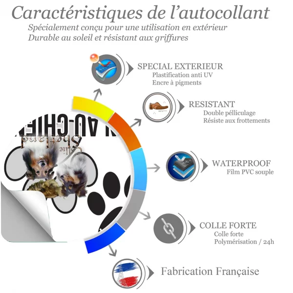 Chien a bord Trois Collies Shetland sur fond transparent avec texte.
