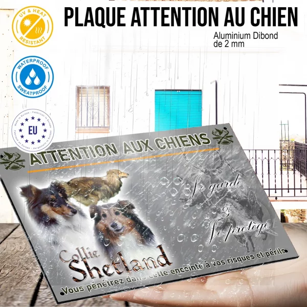 Panneau Trois Collies Shetland sur fond transparent avec texte.