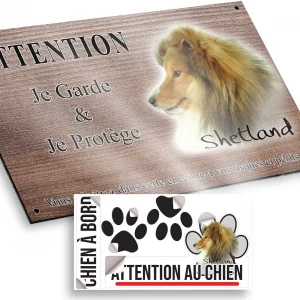 Plaque attention au chien Chien de race Shetland avec un pelage flamboyant