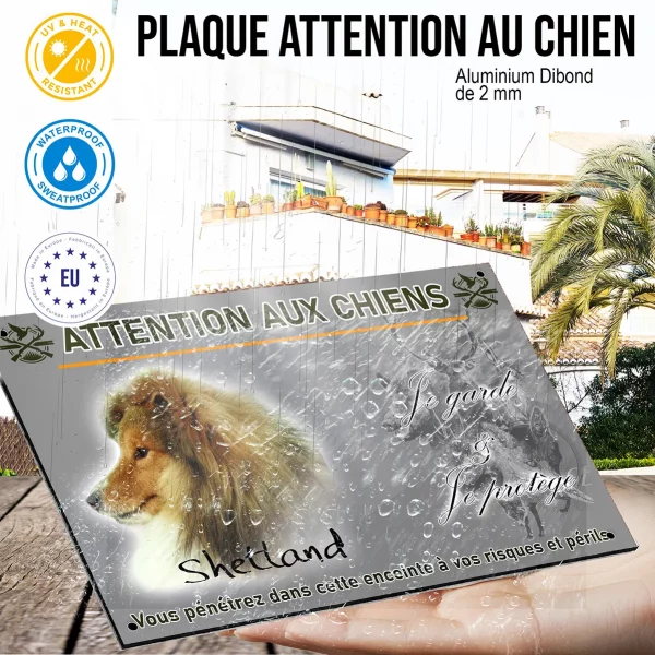 Panneau Chien de race Shetland avec un pelage flamboyant