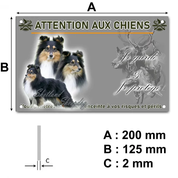 Panneau Trois Shetland Sheepdogs sur fond dégradé