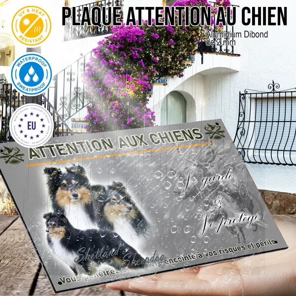 Panneau Trois Shetland Sheepdogs sur fond dégradé