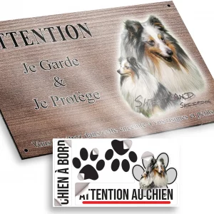 Plaque attention au chien Deux Shitland Sheepdogs avec pelage élégant