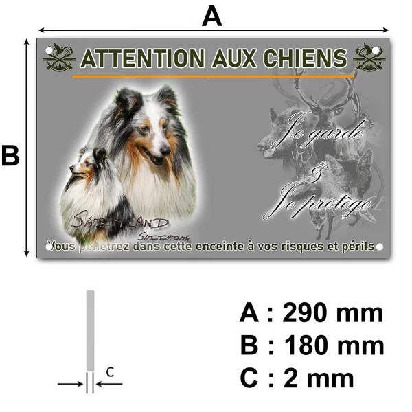 Pancarte Deux Shitland Sheepdogs avec pelage élégant