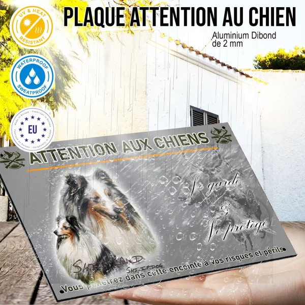 Panneau Deux Shitland Sheepdogs avec pelage élégant