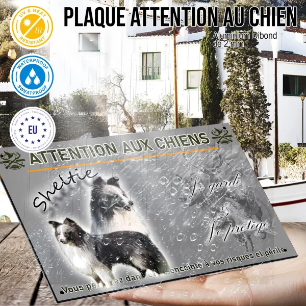 Panneau Un Sheltie avec un pelage noir et blanc