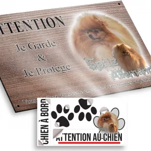 Plaque attention au chien Un Spitz Allemand avec pelage orange flamboyant