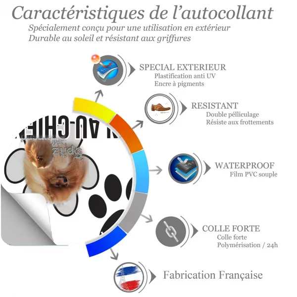 Chien a bord Un Spitz Allemand avec pelage orange flamboyant