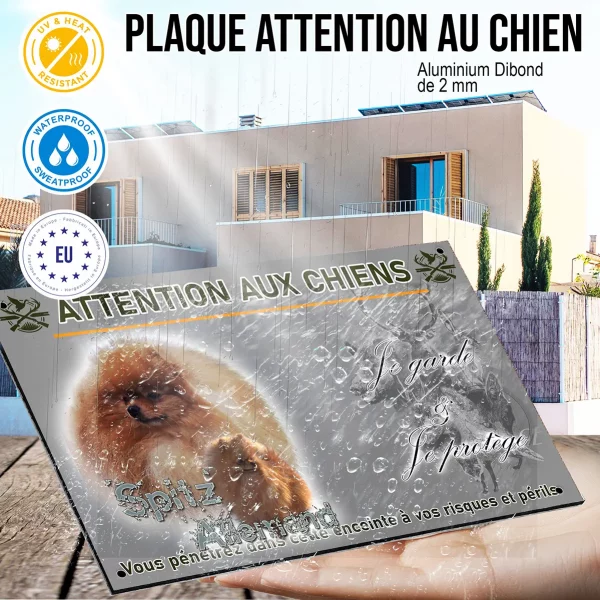 Panneau Un Spitz Allemand avec pelage orange flamboyant