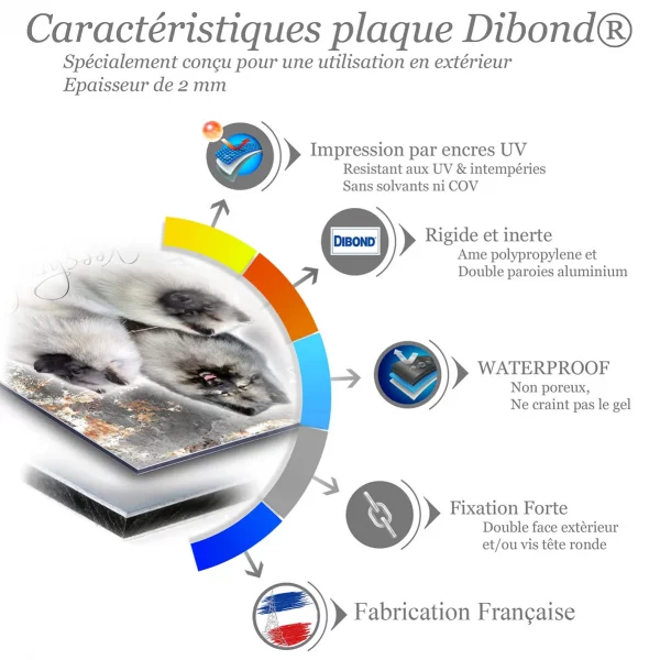 Je monte la garde Trois Keeshonds aux pelages gris et noir