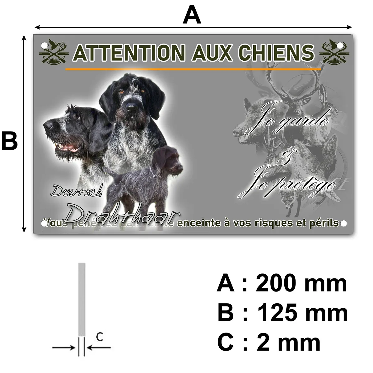 Panneau Gros plan de chiens Deutsch Drahthaar en trois poses