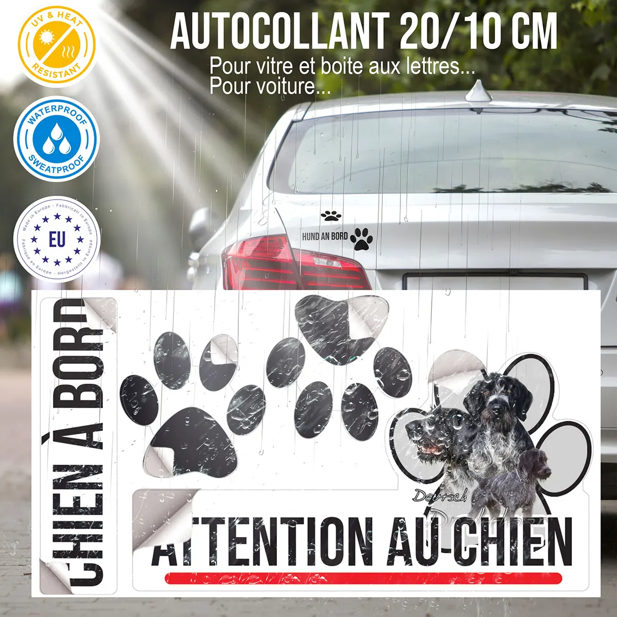 Plaque chien de garde Gros plan de chiens Deutsch Drahthaar en trois poses