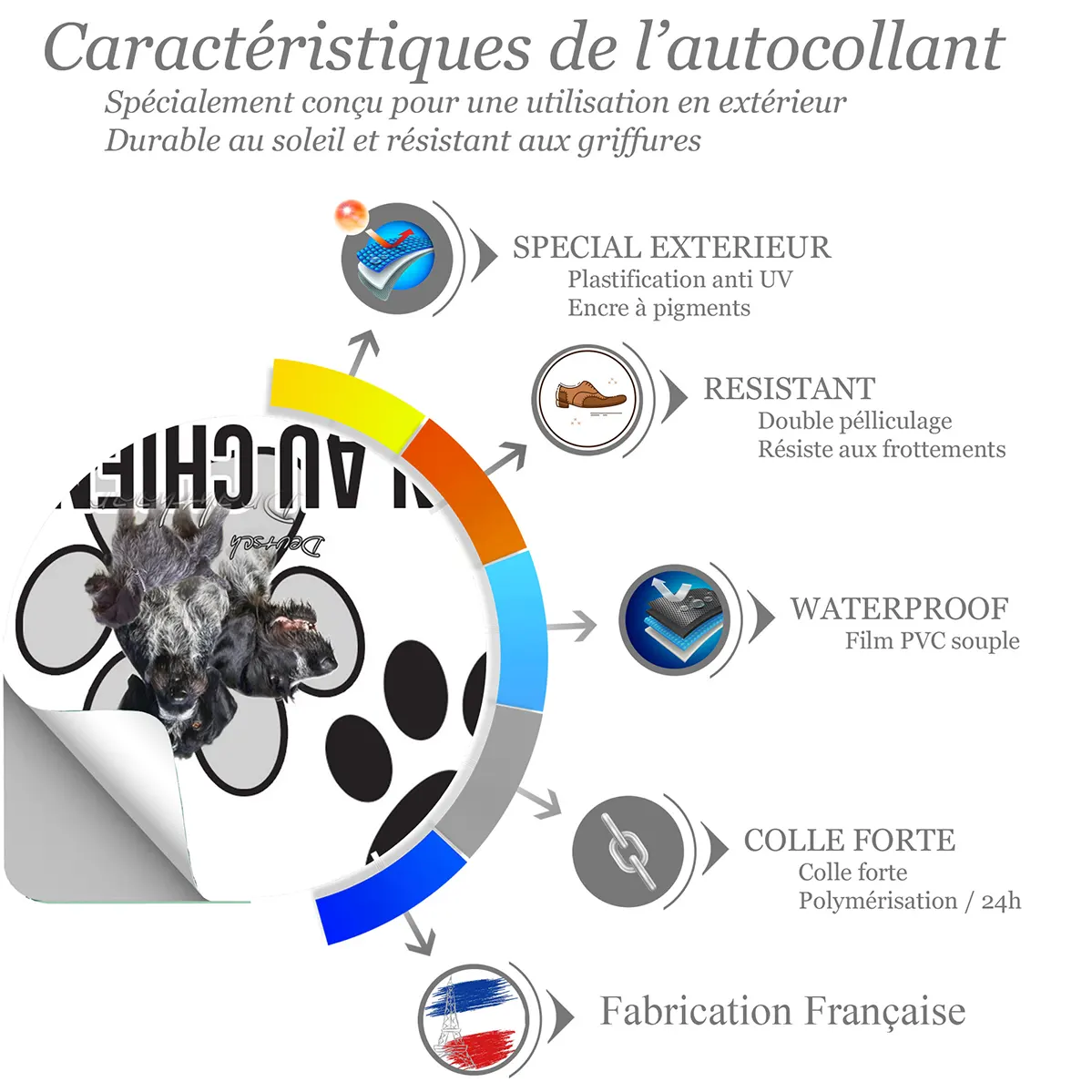 Chien a bord Gros plan de chiens Deutsch Drahthaar en trois poses