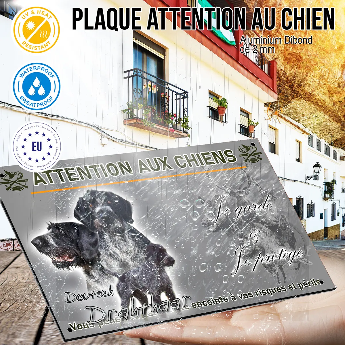 Panneau Gros plan de chiens Deutsch Drahthaar en trois poses