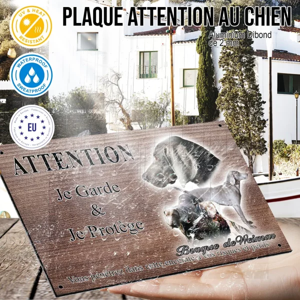 Panneau attention au chien Images de Braque de Weimar montrant plusieurs angles