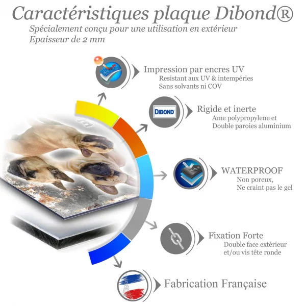 Je monte la garde Trois bouldogues français avec un fond flou