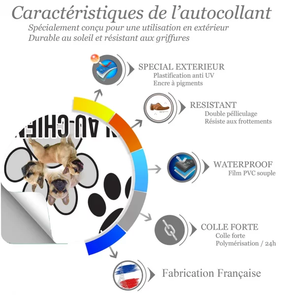 Chien a bord Trois bouldogues français avec un fond flou