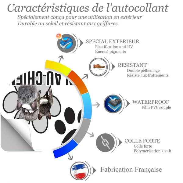 Chien a bord Visuel de Bouldogue Français avec plusieurs chiens