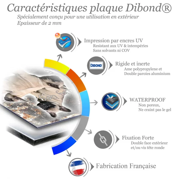 Je monte la garde Image de plusieurs bouledogues français mignons