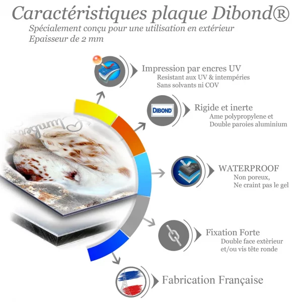 Je monte la garde Profil d'un Clumber Spaniel avec un pelage blanc et des taches marron