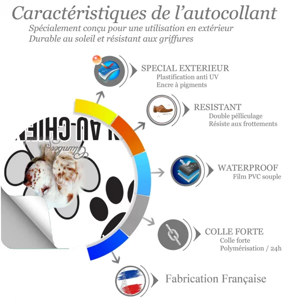 Chien a bord Profil d'un Clumber Spaniel avec un pelage blanc et des taches marron