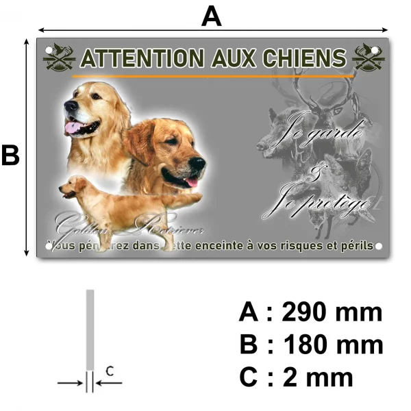 Pancarte Trois portraits de Golden Retriever avec un chien en profil.