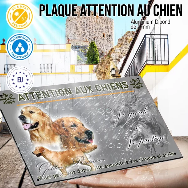 Panneau Trois portraits de Golden Retriever avec un chien en profil.