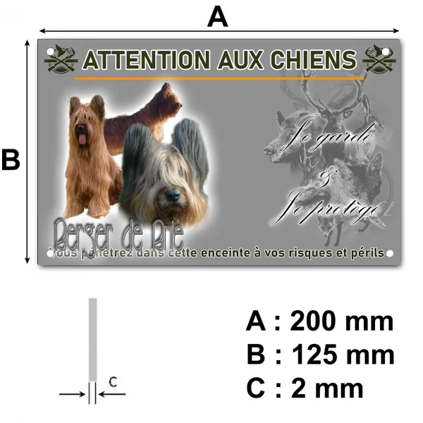 Panneau Trois chiens Berger de Brie sur fond coloré