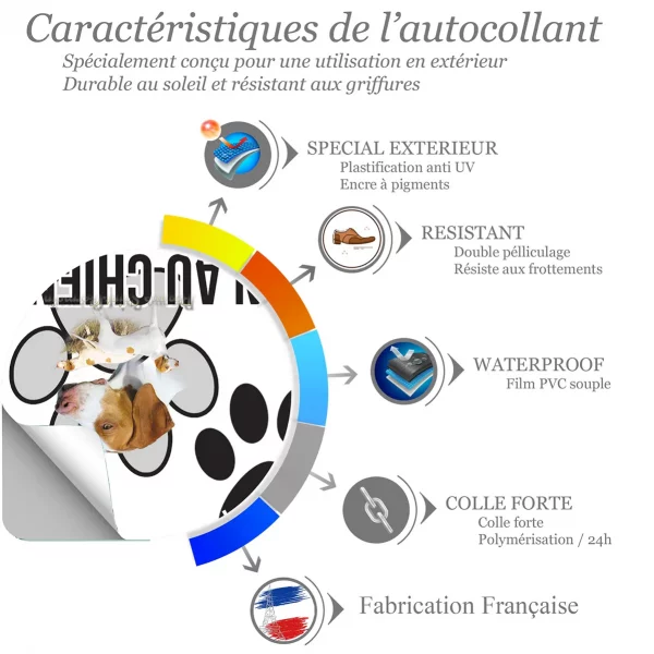 Chien a bord Braque Saint Germain en pleine nature