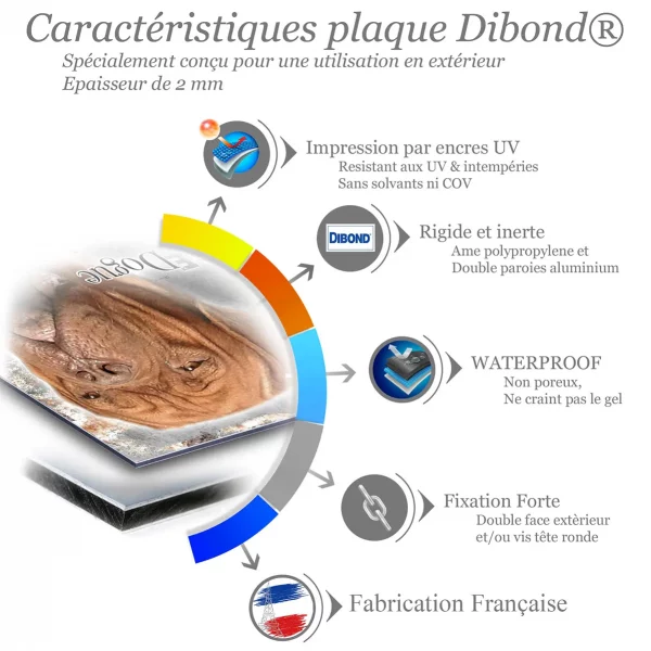 Je monte la garde Gros plan d'un Dogue de Bordeaux avec texte