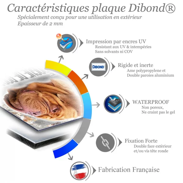 Je monte la garde Dogue de Bordeaux avec des traits caractéristiques
