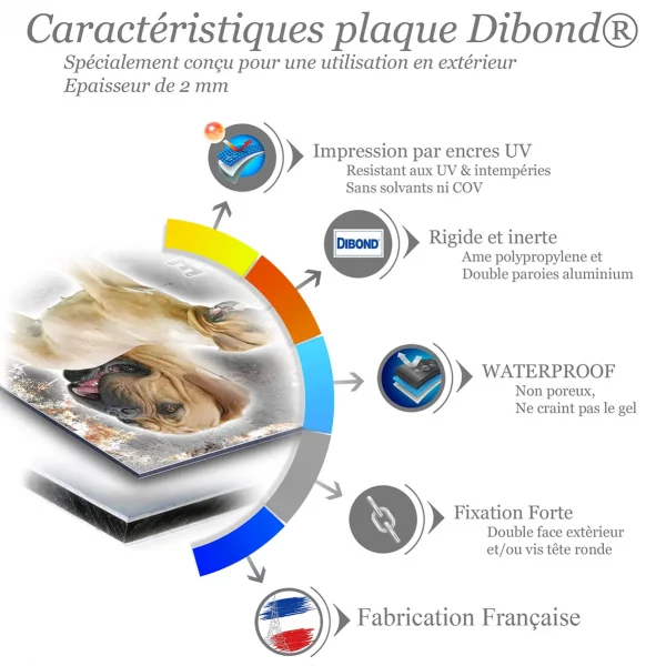 Je monte la garde Dogue de Bordeaux sur fond transparent