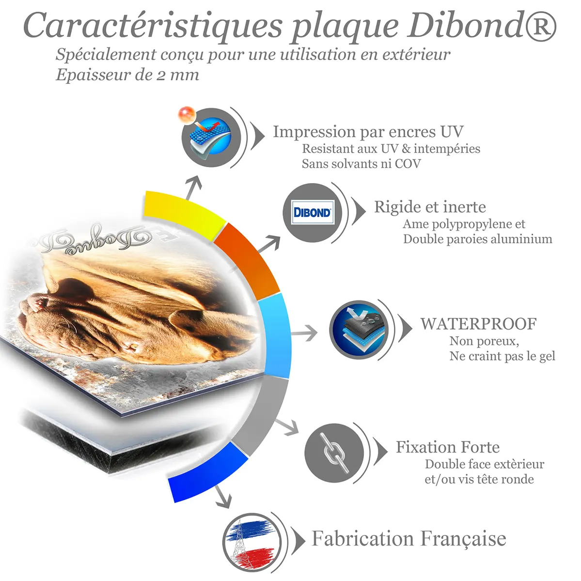 Je monte la garde Dogue de Bordeaux en profil avec éclairage doux