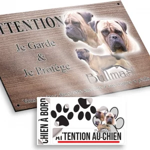 Plaque attention au chien Trois bullmastiffs en gros plan et un en entier