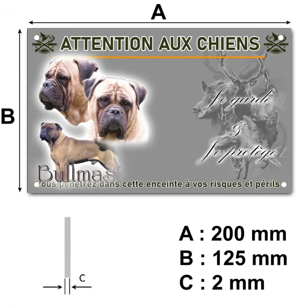 Panneau Trois bullmastiffs en gros plan et un en entier