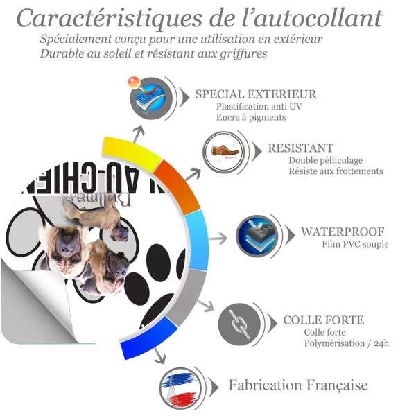 Chien a bord Trois bullmastiffs en gros plan et un en entier