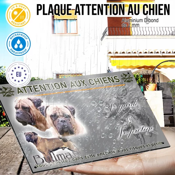 Panneau Trois bullmastiffs en gros plan et un en entier