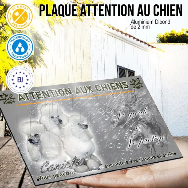 Panneau Trois caniches blancs avec un pelage soyeux et volumineux