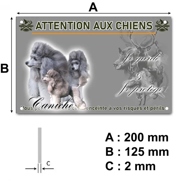 Panneau Trois caniches avec des pelages gris élégants