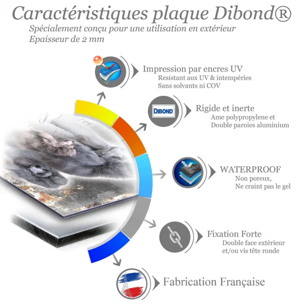 Je monte la garde Trois caniches avec des pelages gris élégants