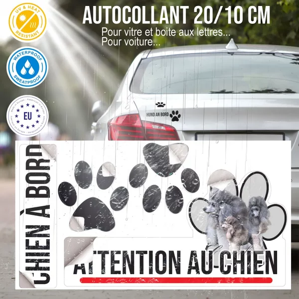 Plaque chien de garde Trois caniches avec des pelages gris élégants