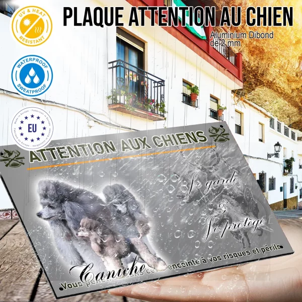 Panneau Trois caniches avec des pelages gris élégants