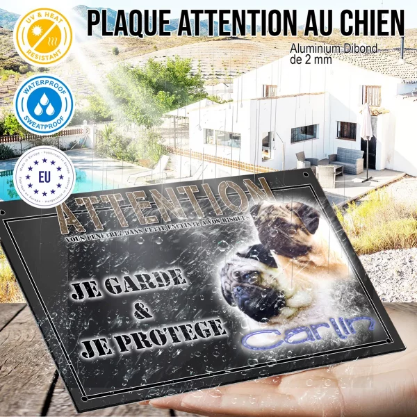 Panneau chien de garde Deux Carlins avec des expressions différentes sur fond coloré