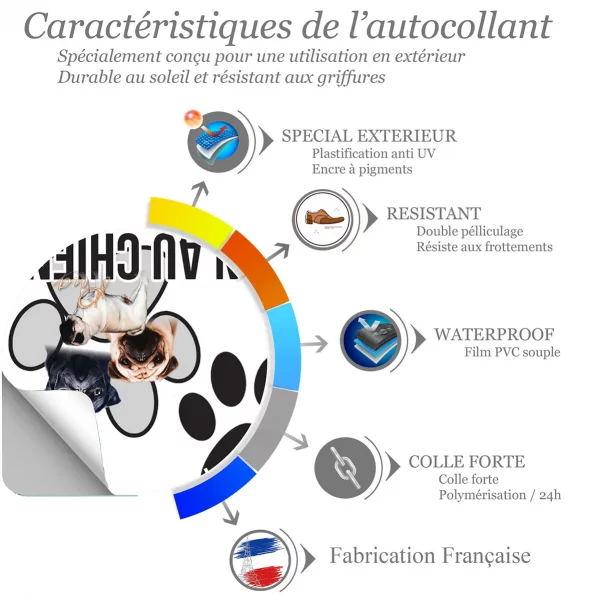 Chien a bord Trois chiens Pug