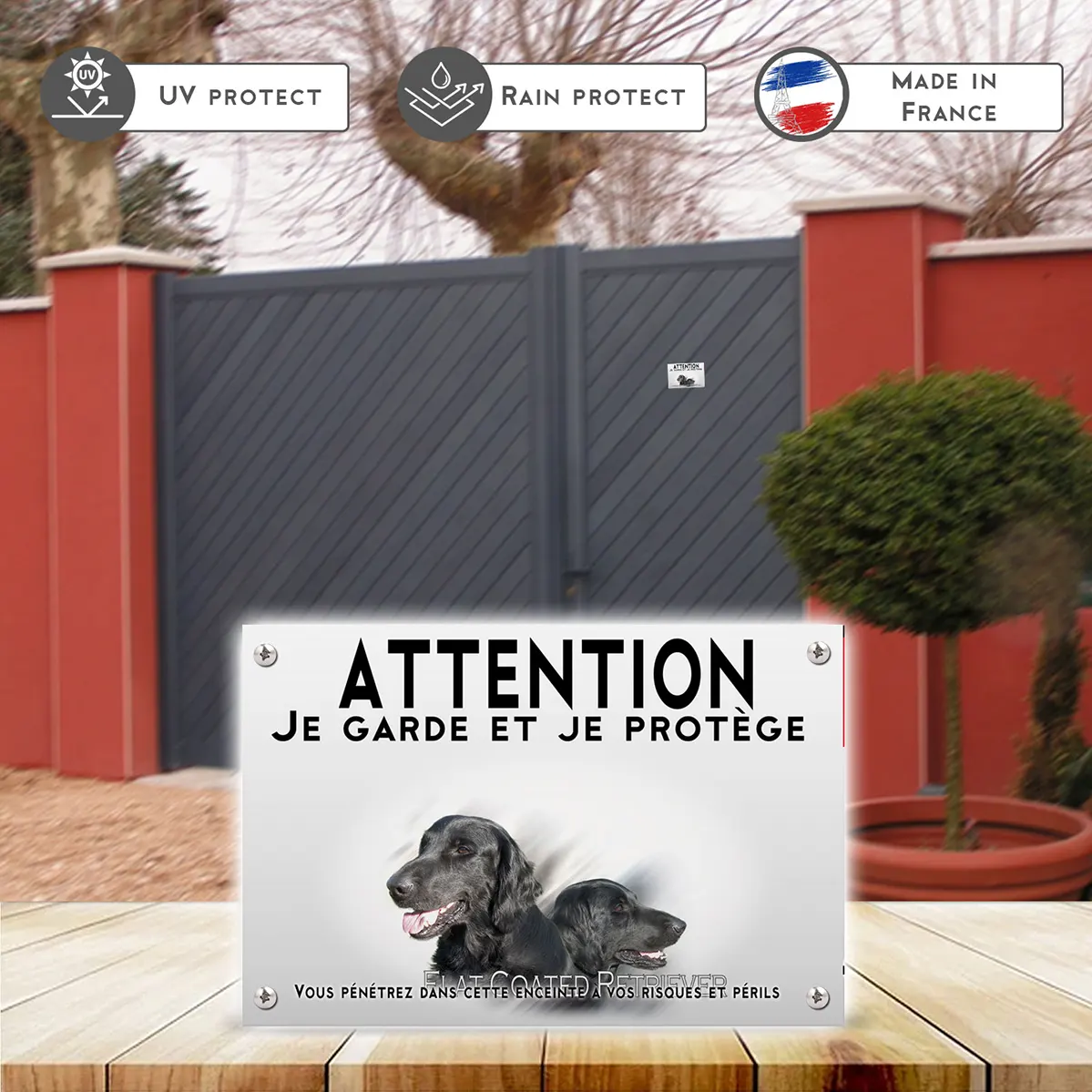 Plaques Deux Flat Coated Retrievers en gros plan