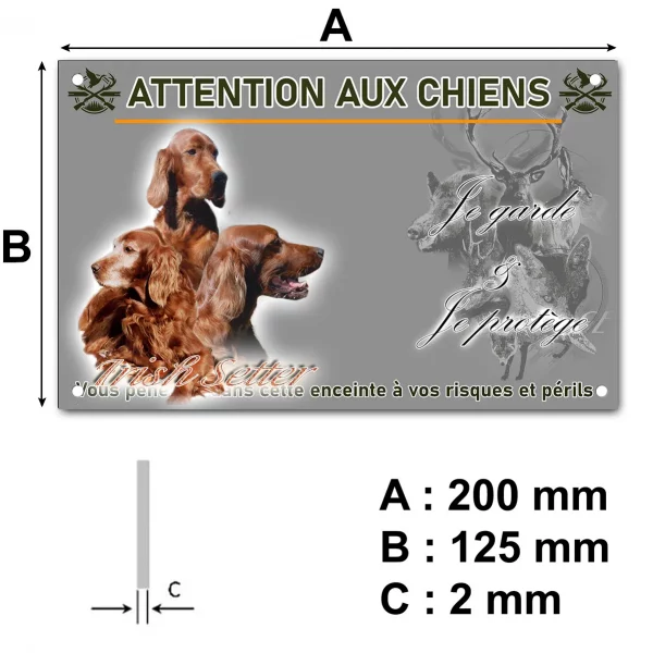 Panneau Trois Irish Setter sur fond noir