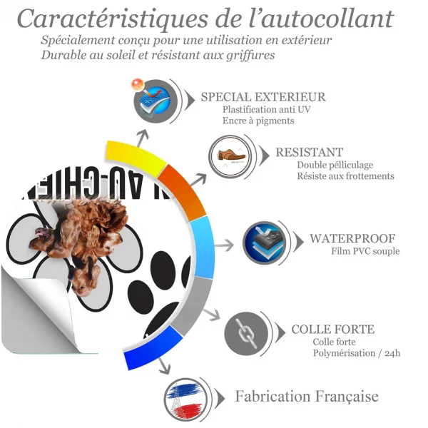 Chien a bord Trois Irish Setter sur fond noir